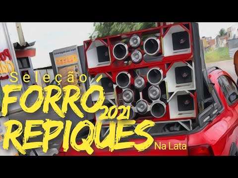 SELEÇÃO DE FORRÓ - REPIQUES NA LATA PRA PAREDÃO
