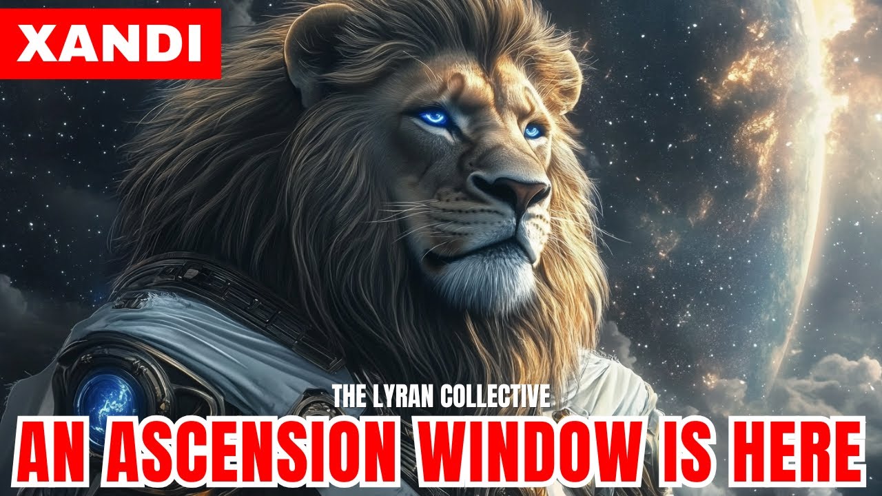 "SOME WILL BE STAYING BEHIND..." | Xandi - The Lyran Collective