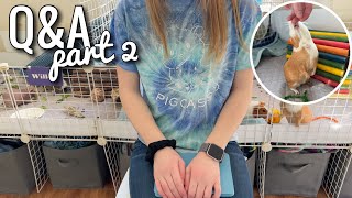 Q&A WITH 15+ PETS || part 2 || answering your questions