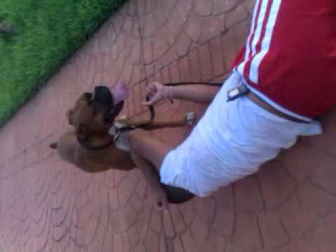 Ricky and tyson playing