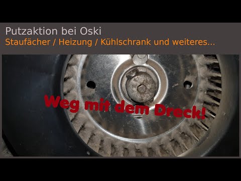 Putzaktion bei Oski - Clever Runner 636 #48
