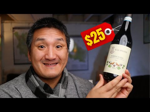 BARBERA is Delicious, Food-Friendly, and AFFORDABLE!!!