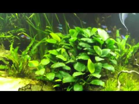 Watch Video on YouTube