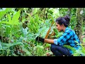 Gifts of nature for being beautiful & healthy |part 1| poorna - The nature girl |