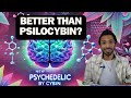 A Brand New Mushroom Psychedelic Drug CYB003