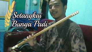Download lagu Setangkai bunga padi Ansul Suling mp3