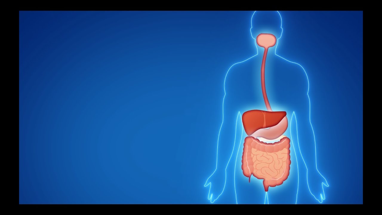 Vídeo Yakult: Como funcionam Prebióticos e Probióticos