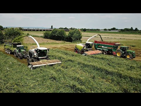 2x Claas Jaguar | 980 & 990 | Trinciatura 2025 | Agrotecnica Fraron