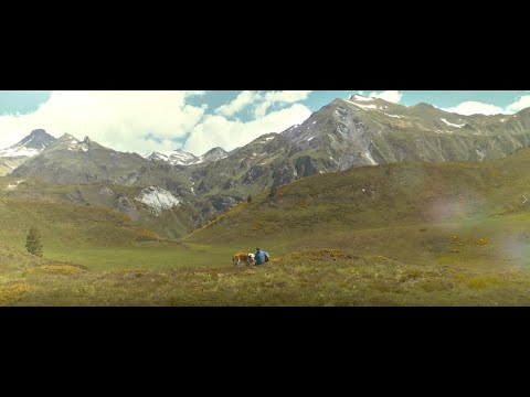 Miniatura de YouTube - Misteriosamente Hoy