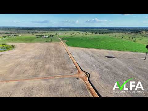 Fazenda Produtiva à Venda 480 Hectares - Triunfo | Candeias do Jamari/RO