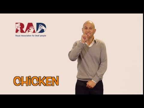 How to Sign Chicken in BSL