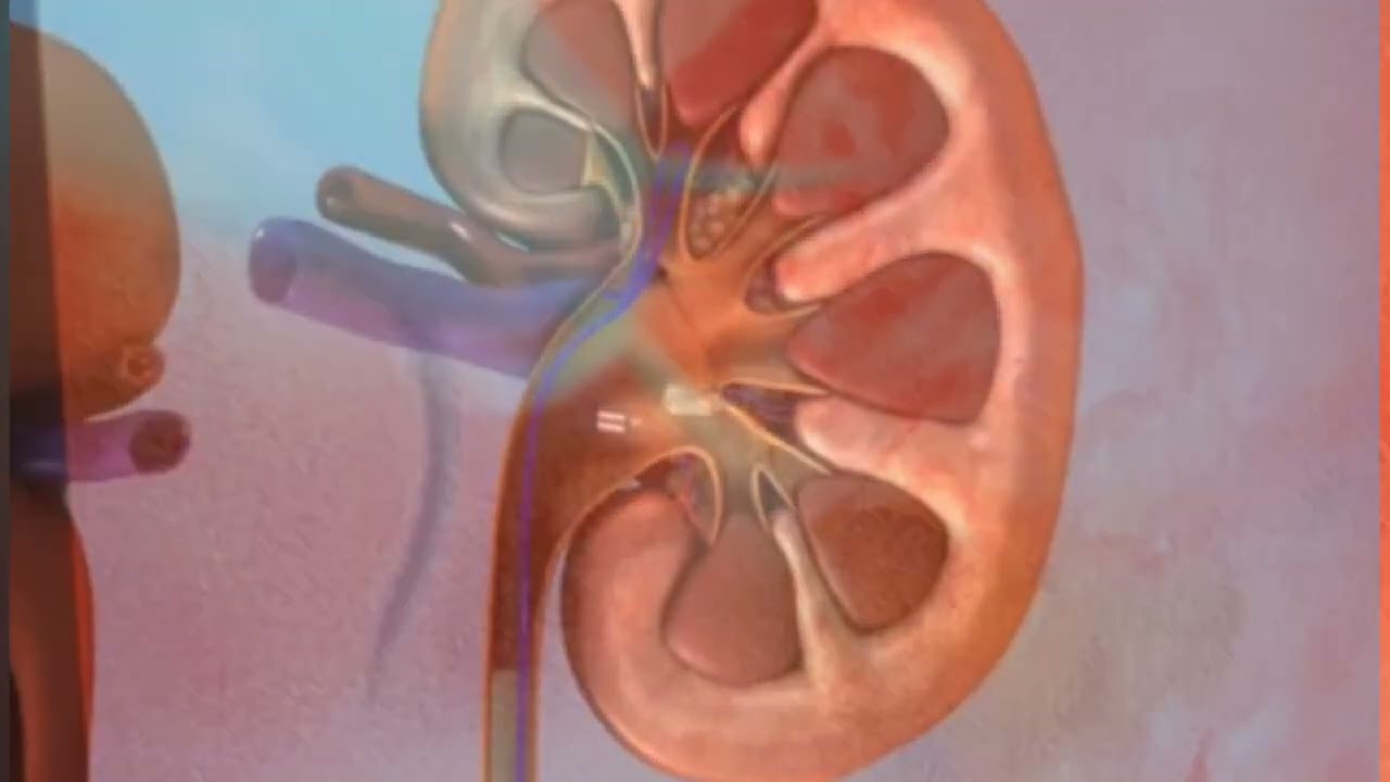 Robison José Manfredi-18