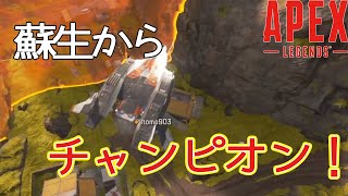 【Apex Legends】蘇生からのチャンピオン！！ 配信切抜