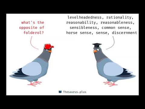 Ditherer - Folderol (prod. fravo)