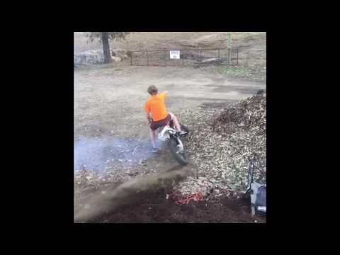 Berts beligerent movie