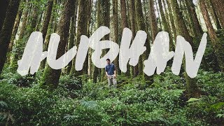 Sunrise in ALISHAN | EasyCard Fail, Bento Boxes, Belly Rubs &amp; Kaohsiung Luck | 12 Days in Taiwan EP2