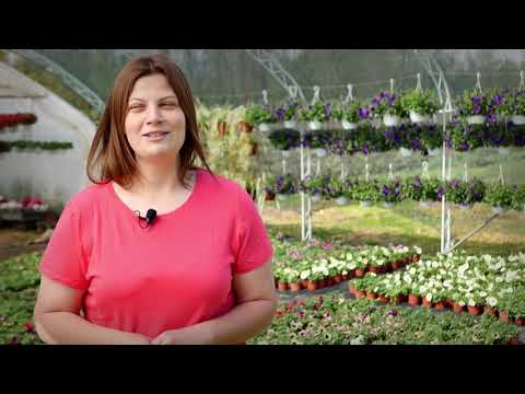 Agro karavan ep. 121 26.04.2020. Turizam