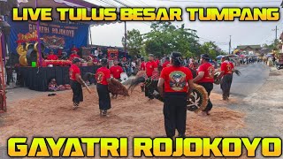 Download lagu GAYATRI ROJOKOYO LIVE LOKASI TULUS BESAR TUMPNG mp3