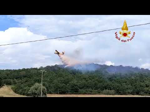 L'incendio a Farneta, a Lucignano in provincia di Arezzo, e l'intervento dei vigili del fuoco