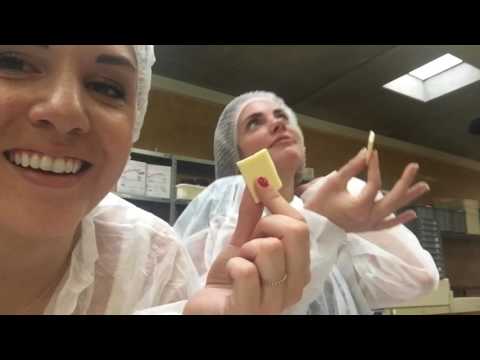 #SinalcoBusTour - Best Of Video