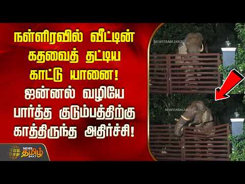 வீட்டின் கதவை தட்டிய காட்டு யானை! ஜன்னல் வழியே பார்த்த குடும்பத்திற்கு காத்திருந்த அதிர்ச்சி!