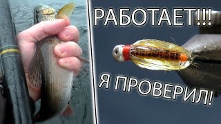 О клеве рыбы и насекомые