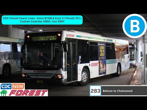 CDC Forest Coach Lines: Volvo B12BLE Euro 3 (Thrash ZF) / Custom Coaches CB60, m/o 5991