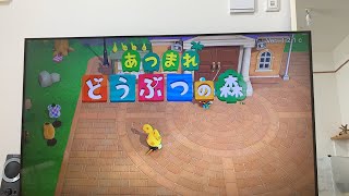 あつ森☘毎日ルーティーン✨