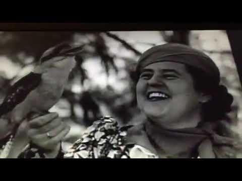 Ron Richards Greatest Fights