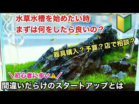 水草の植え方は？正しい選択をするために知っておくべきことすべて!  庭園