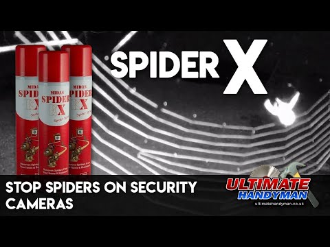 download lagu mp3 mp4 Cobweb Security, download lagu Cobweb Security gratis, unduh video klip Cobweb Security