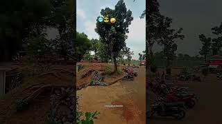 Download lagu suasana hiling || STUDIO ALAM TVRI mp3 Download lagu suasana hiling || STUDIO ALAM TVRI mp3