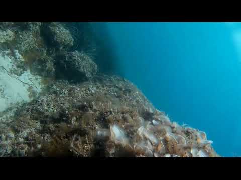 2022 0518 114140 065