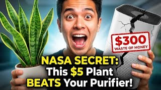 NASA Study Reveals 10 Indoor Plants That OUTPERFORM $300 Air Purifiers