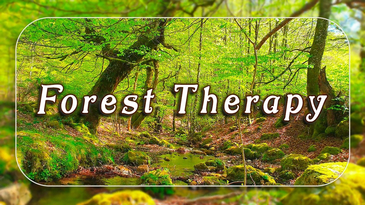 🌳Fresh Morning 🌳Healing Frequency Forest Creek Sounds with Soft Birdsong | Relaxing Bubbling Stream