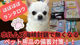 ホルムズ海峡封鎖でペット用品が消える！？愛犬ランタロウの備蓄対策を全公開【癒し回】❤️