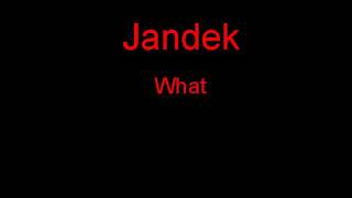 Jandek What + Lyrics