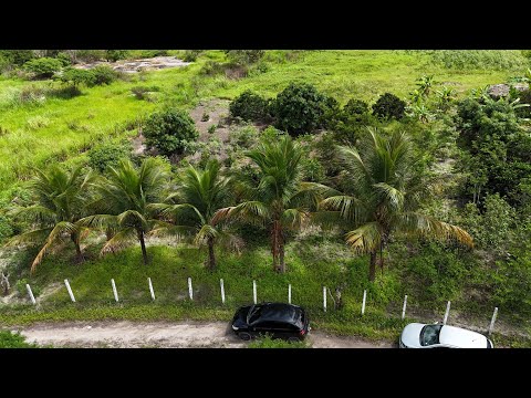 950#Sítio 11.5 hectares 180.mil Belo Jardim 