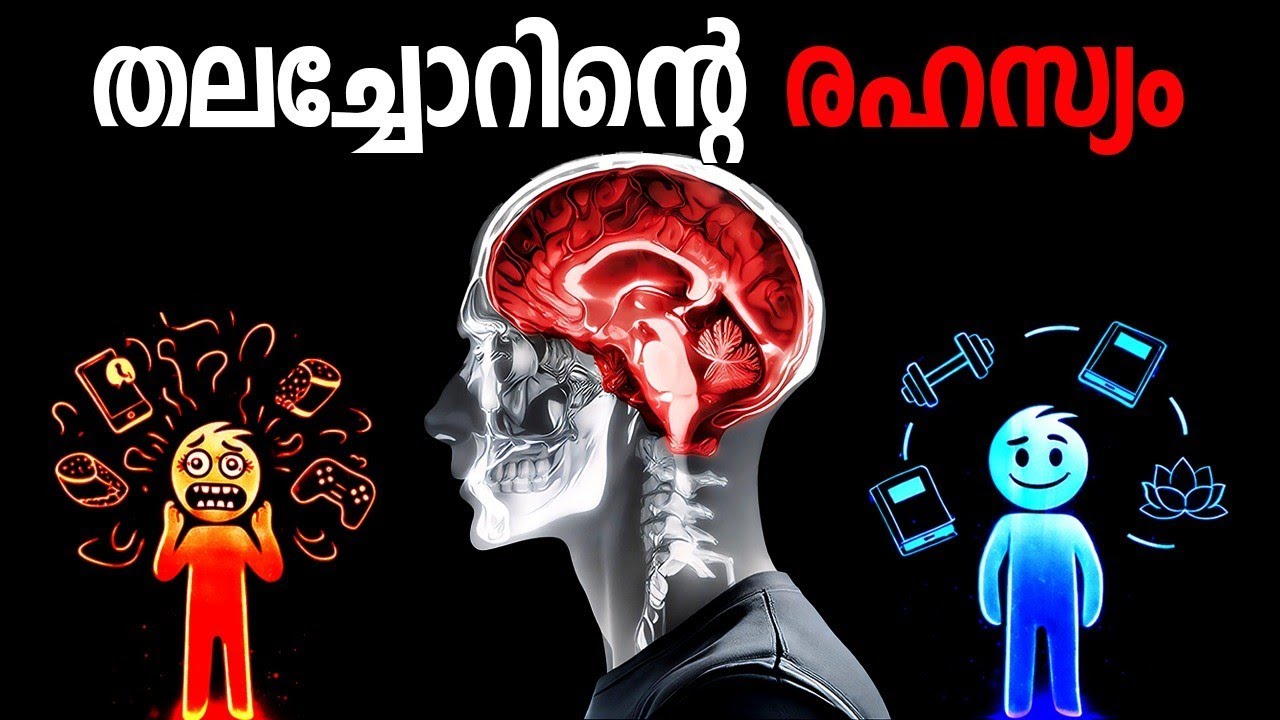 തലച്ചോറിന്റെ ഇരുണ്ട രഹസ്യം