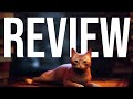 Stray Review