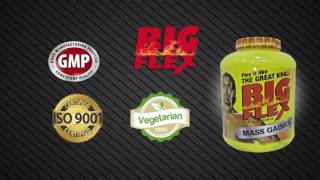 Best Mass Gainer for Boys & Girls - Big Flex Mass Gainer Review | Zukazo Play