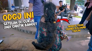 Download lagu Masya Allah - After being shaved and bathed, this dreadlocked ODGJ became really beautiful. mp3
