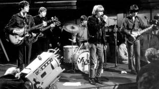 The Yardbirds - Drinking Muddy Water