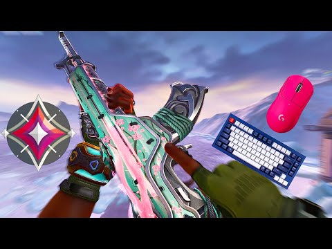 Raw accel = insta AIM