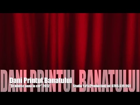 Dani Printul Banatului - Te iubesc pana la cer (2012)