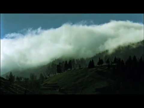 Rammstein y slipknot(1)