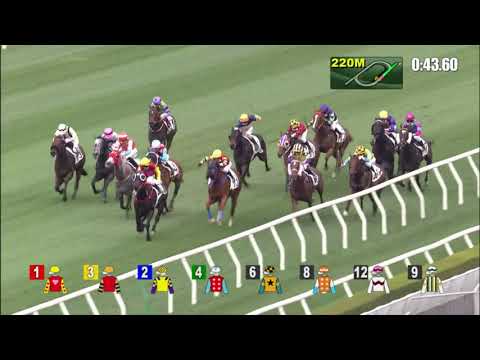 20/3/2022 (511) Run Run Cool - Z Purton