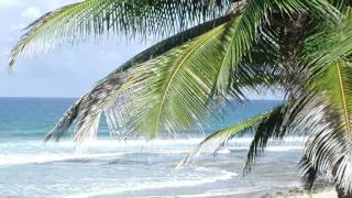 Blue Collar Love - March! (Starflyer 59 Cover)