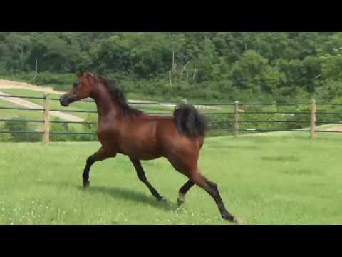 Harielle 1 June 2016