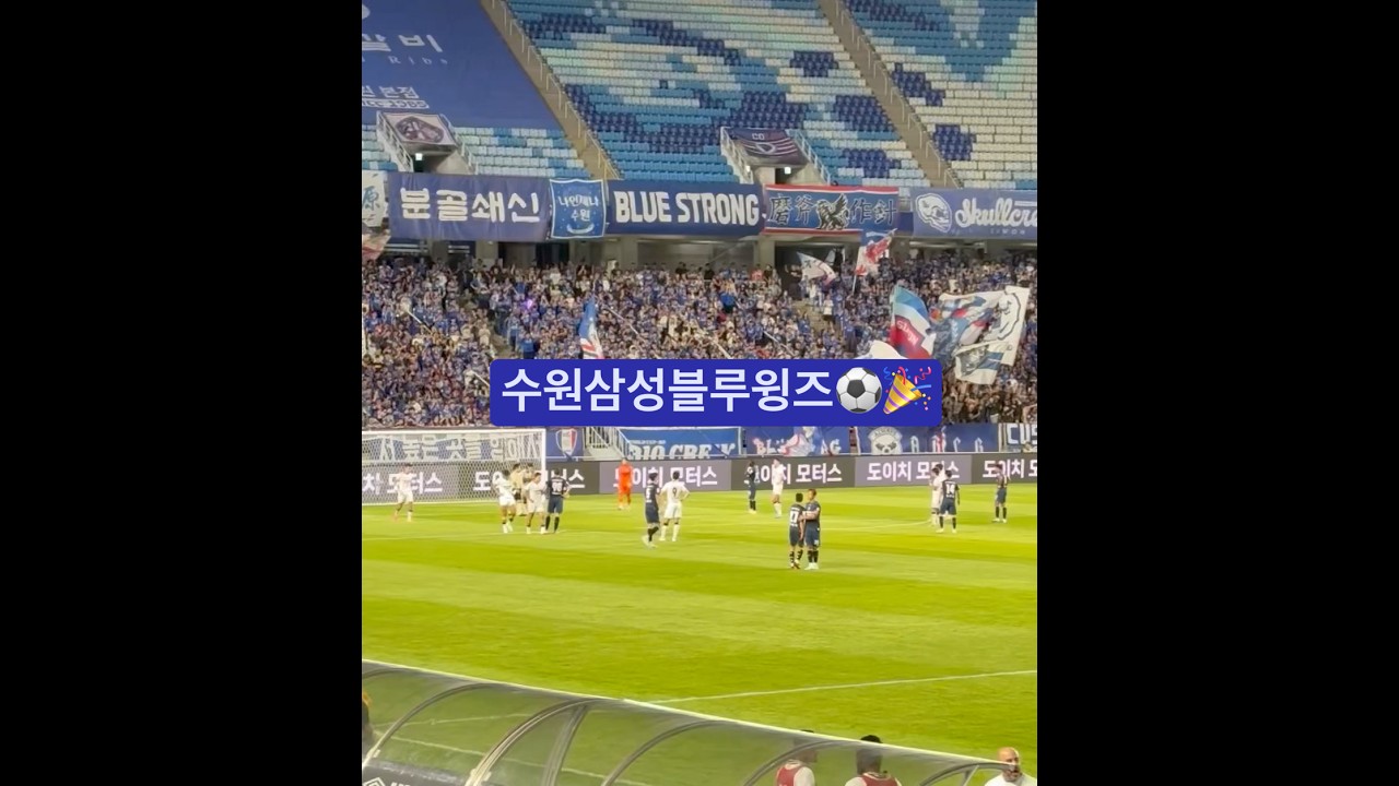⚽️|#수원삼성블루윙즈 #수원월드컵경기장 #수원 #수원삼성 #goal #하이라이트 #축구 #k리그 #레전드 #응원단 #퍼포먼스 #이슈 #news #sports #shorts